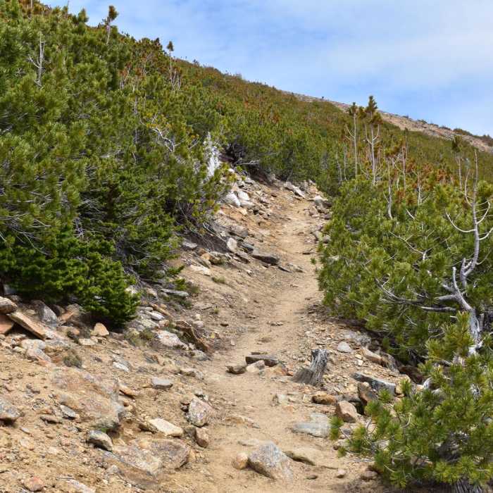 Near Saint Mary Peak