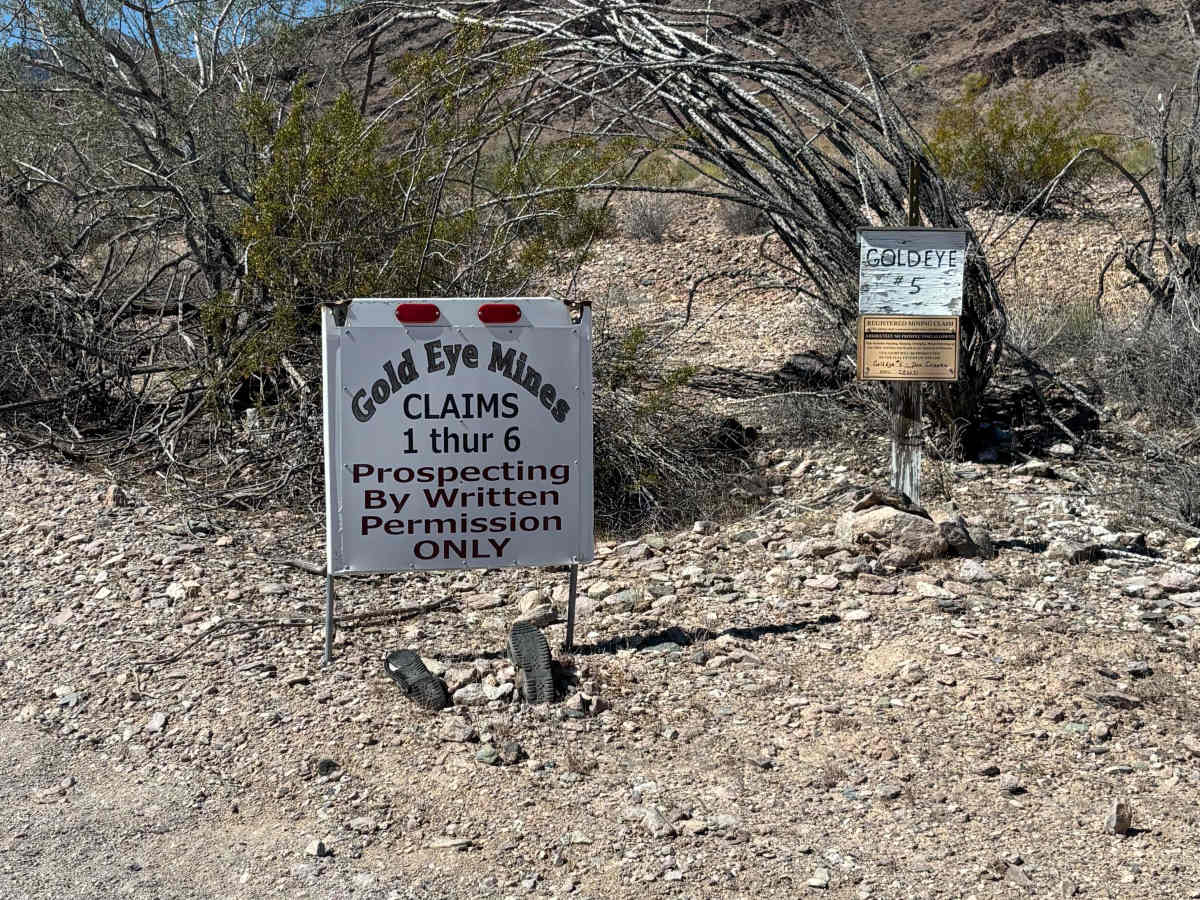 Cholla Road photo 3