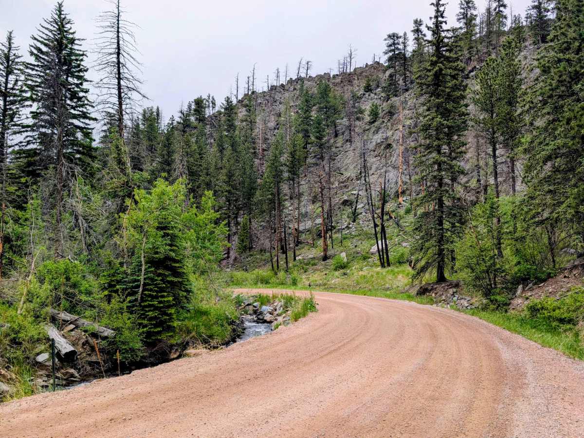 Buckhorn Road - 44H photo 4