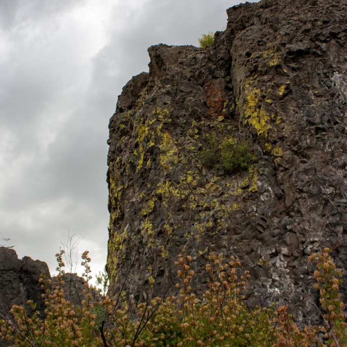 Near Rimrock Drive Trail