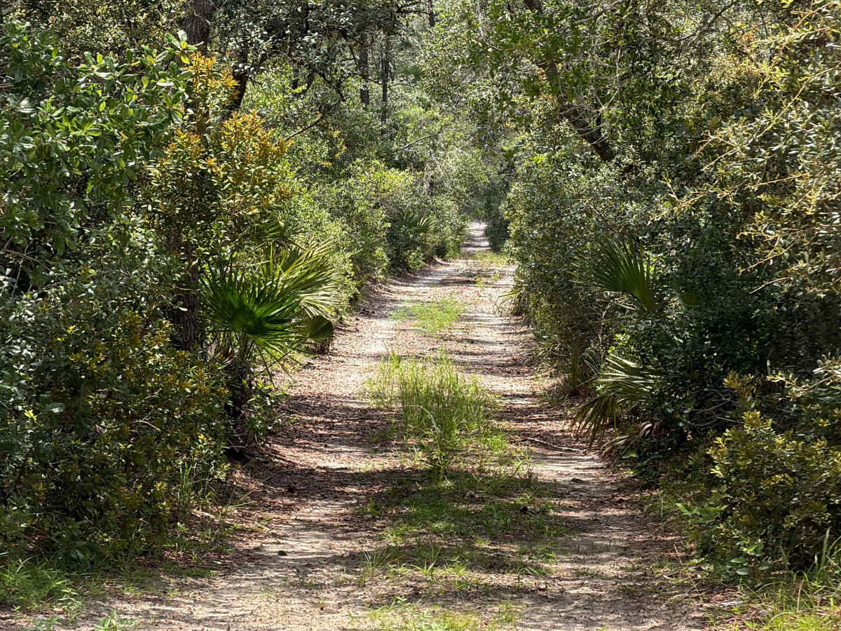 FS 9-2.2 trail photo
