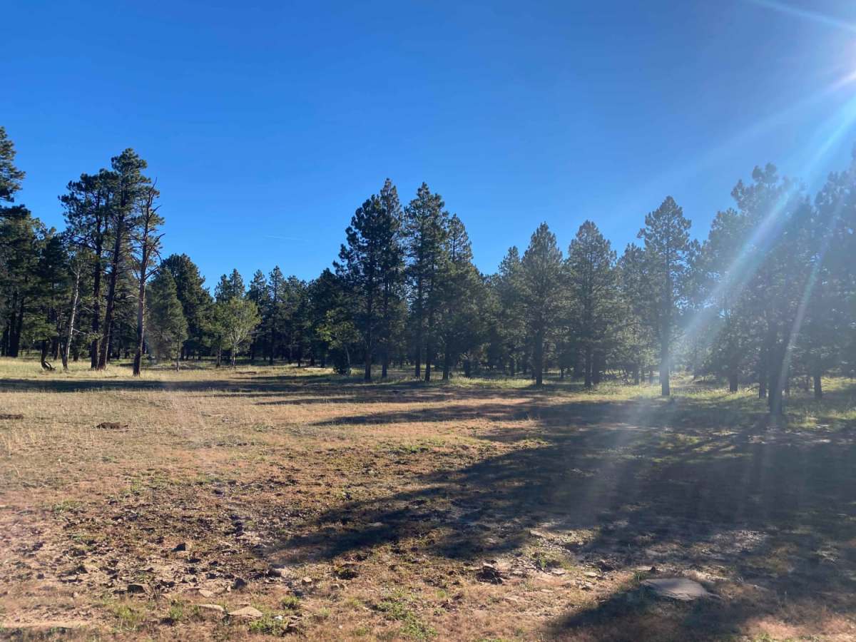 Elk Ridge trail photo