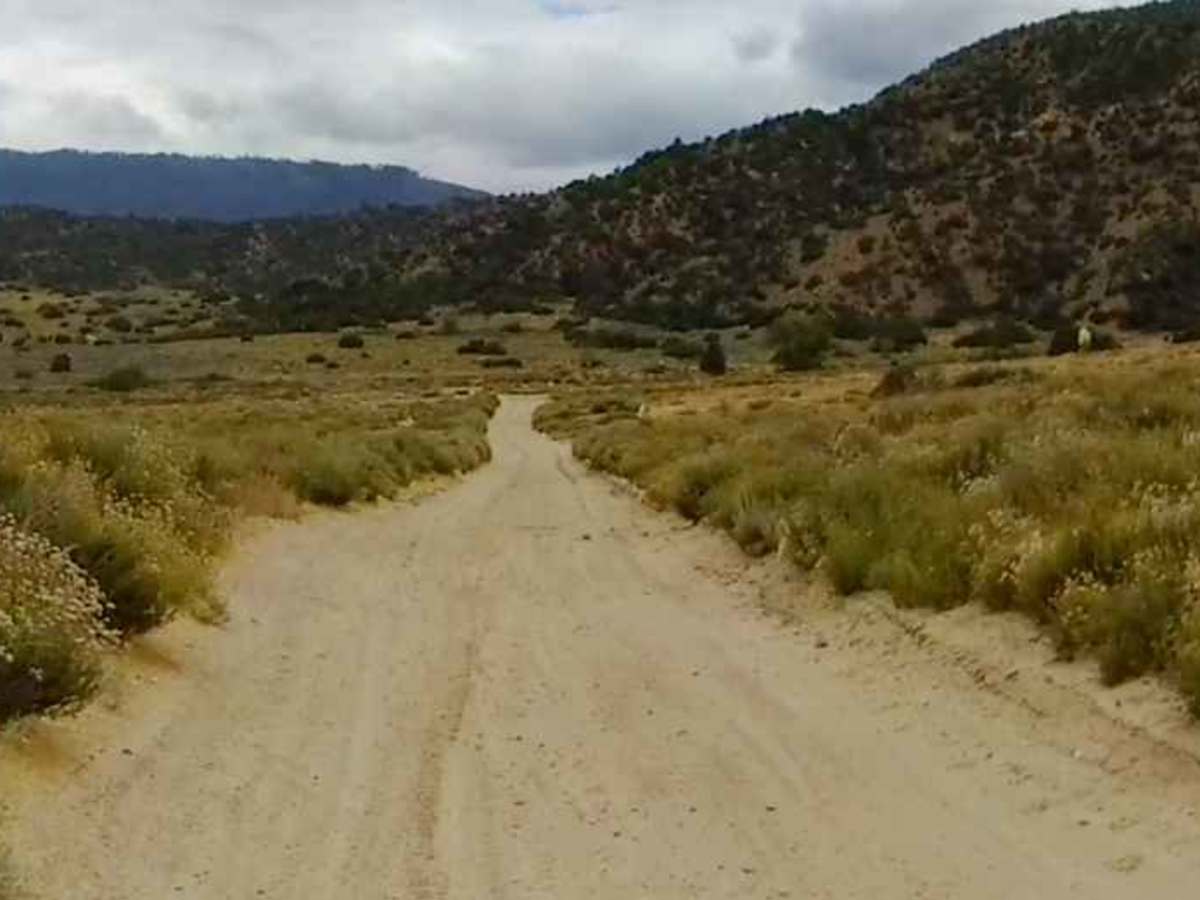 Schmidt Ranch Trail photo 4