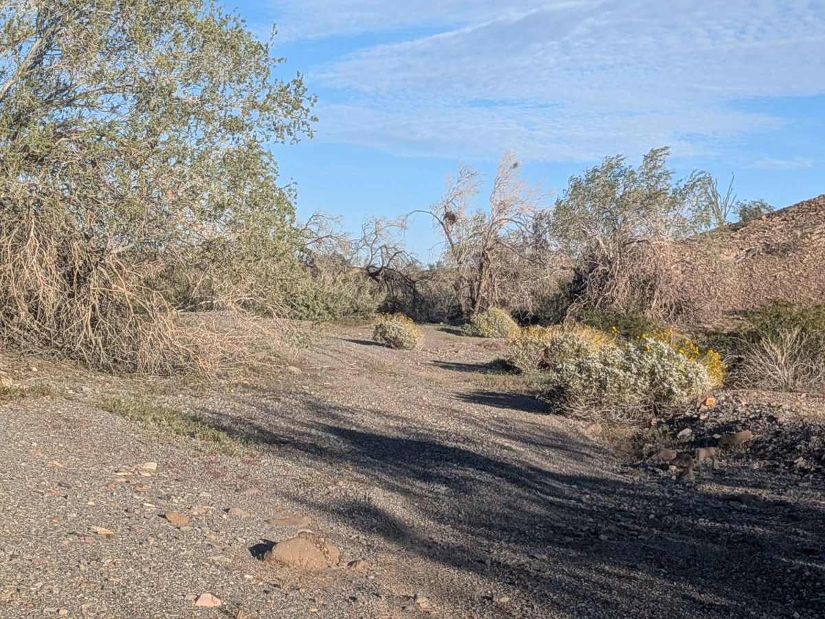 BLM 751 photo 3