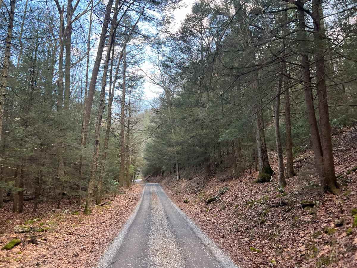 Sheesley Run Road photo 2