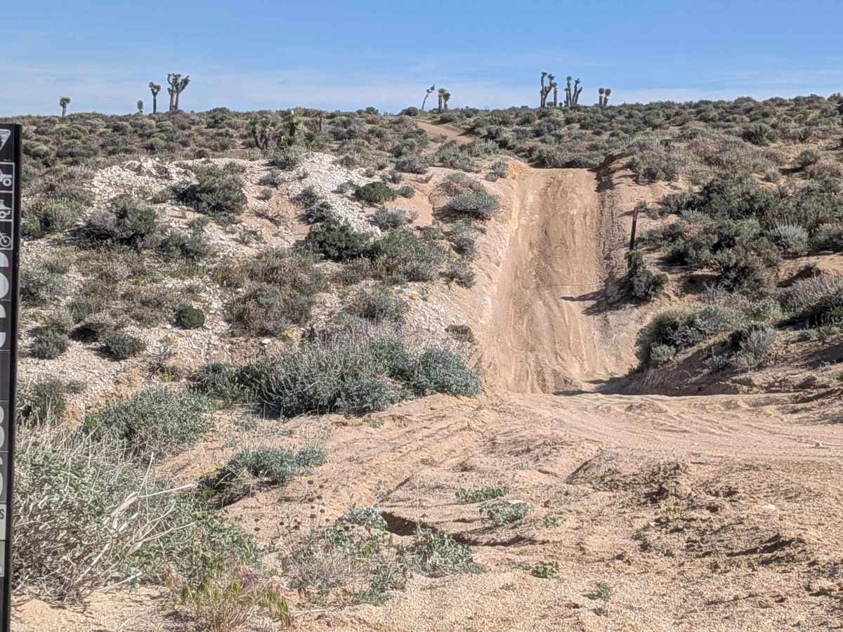 BLM SC186 photo 6