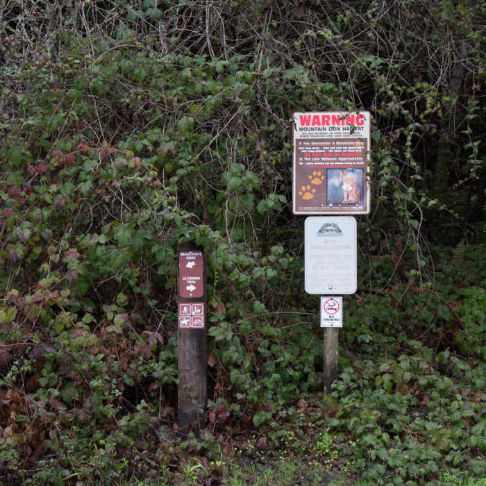 Near Branciforte Creek Trail Hike