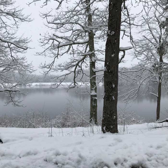 Near Mohegan Park Loop