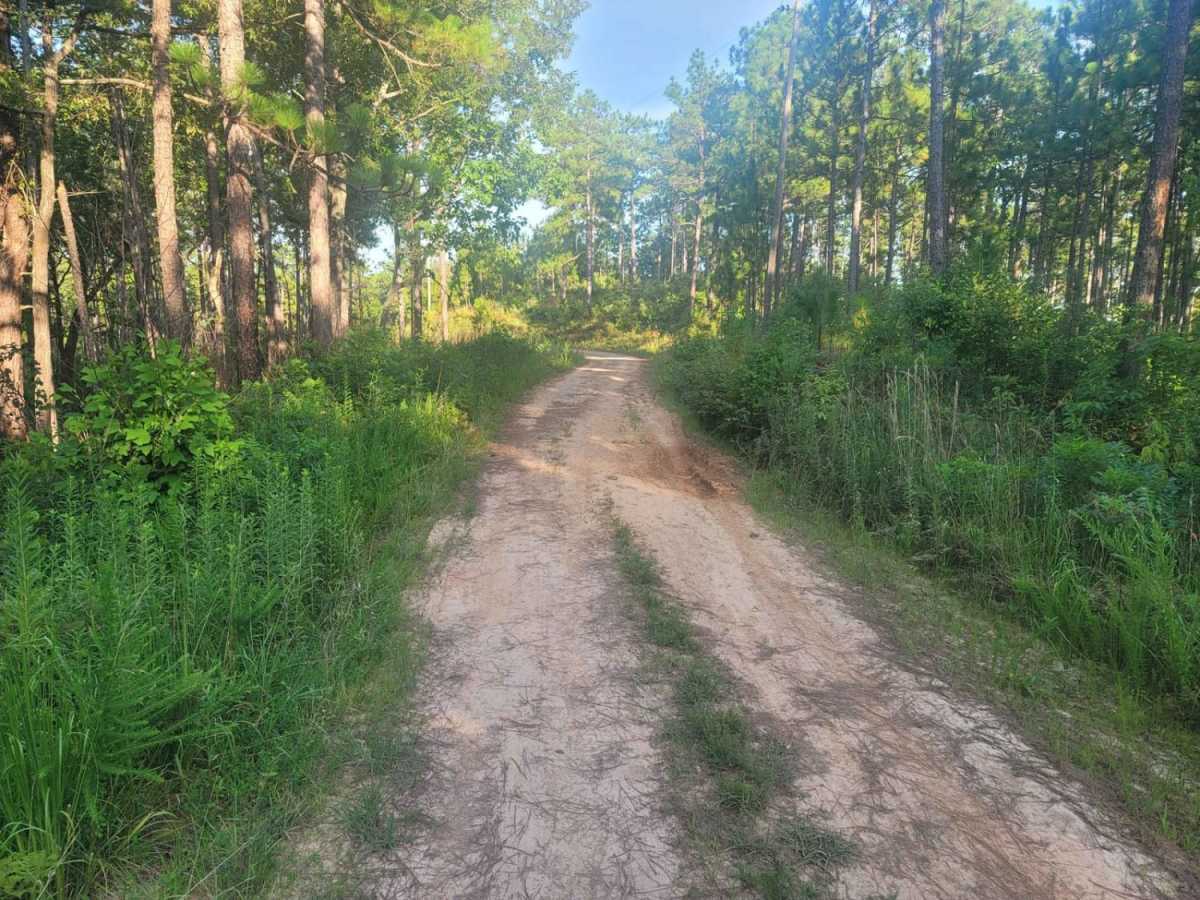 533 - Vaughn Road photo 6
