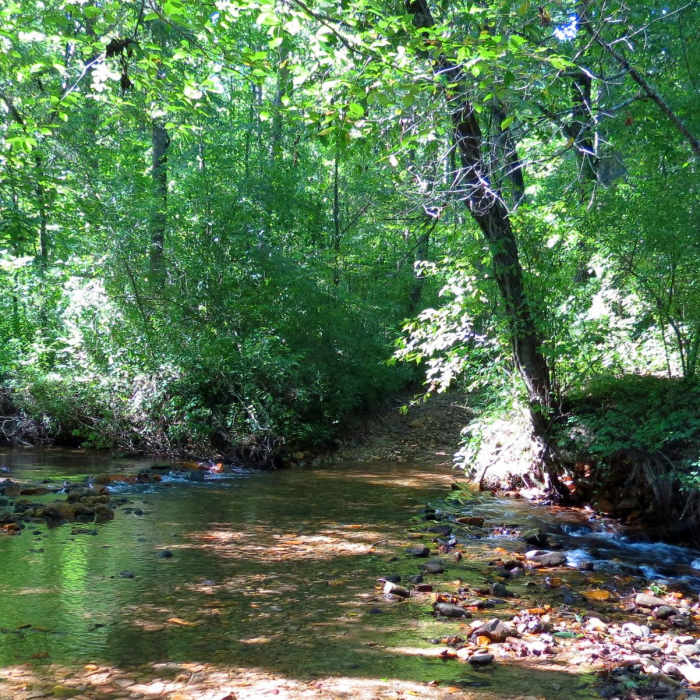 Near Cochran Falls Trail