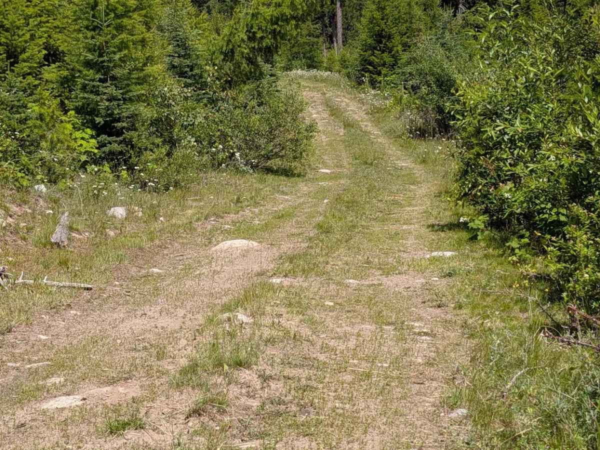 Big Toad Rd photo 4
