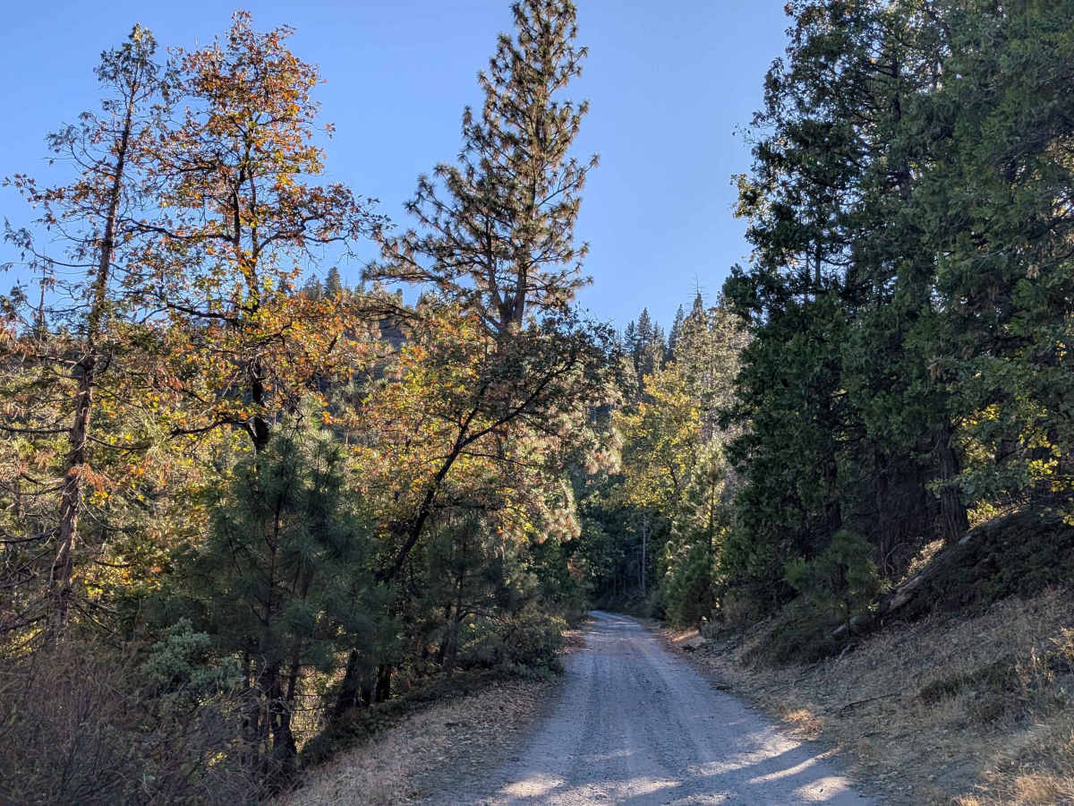Fraser Flat Road East - FS 4N01 photo 2