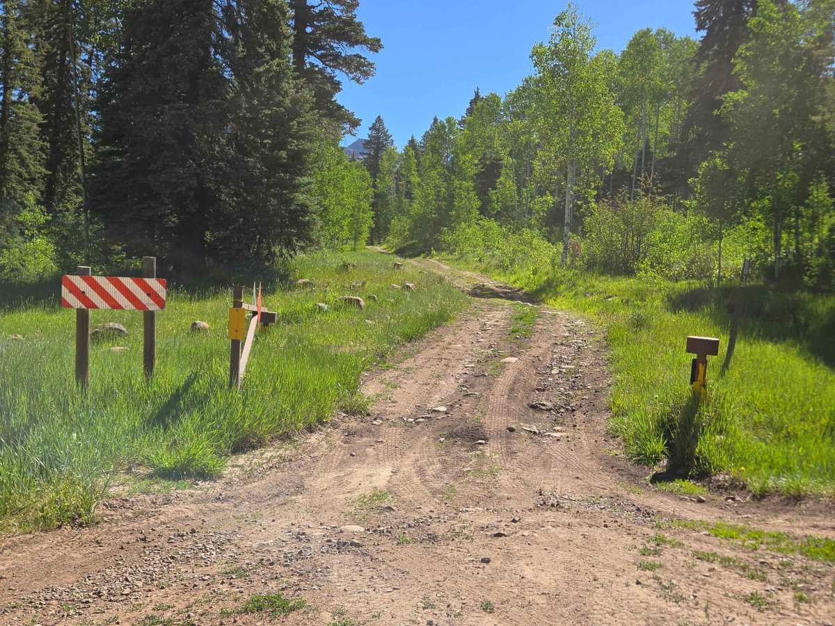 Black Mountain Road trail photo