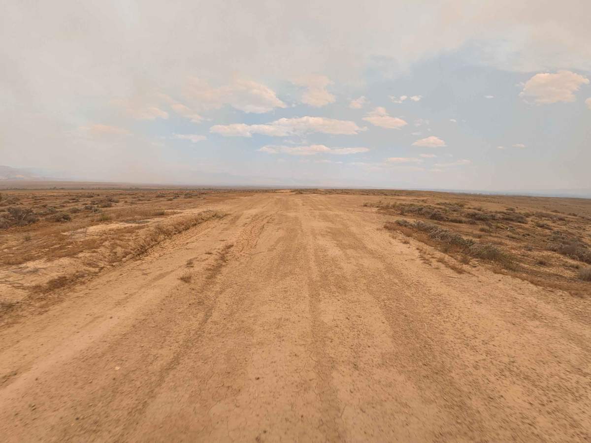 BLM 173 photo 3