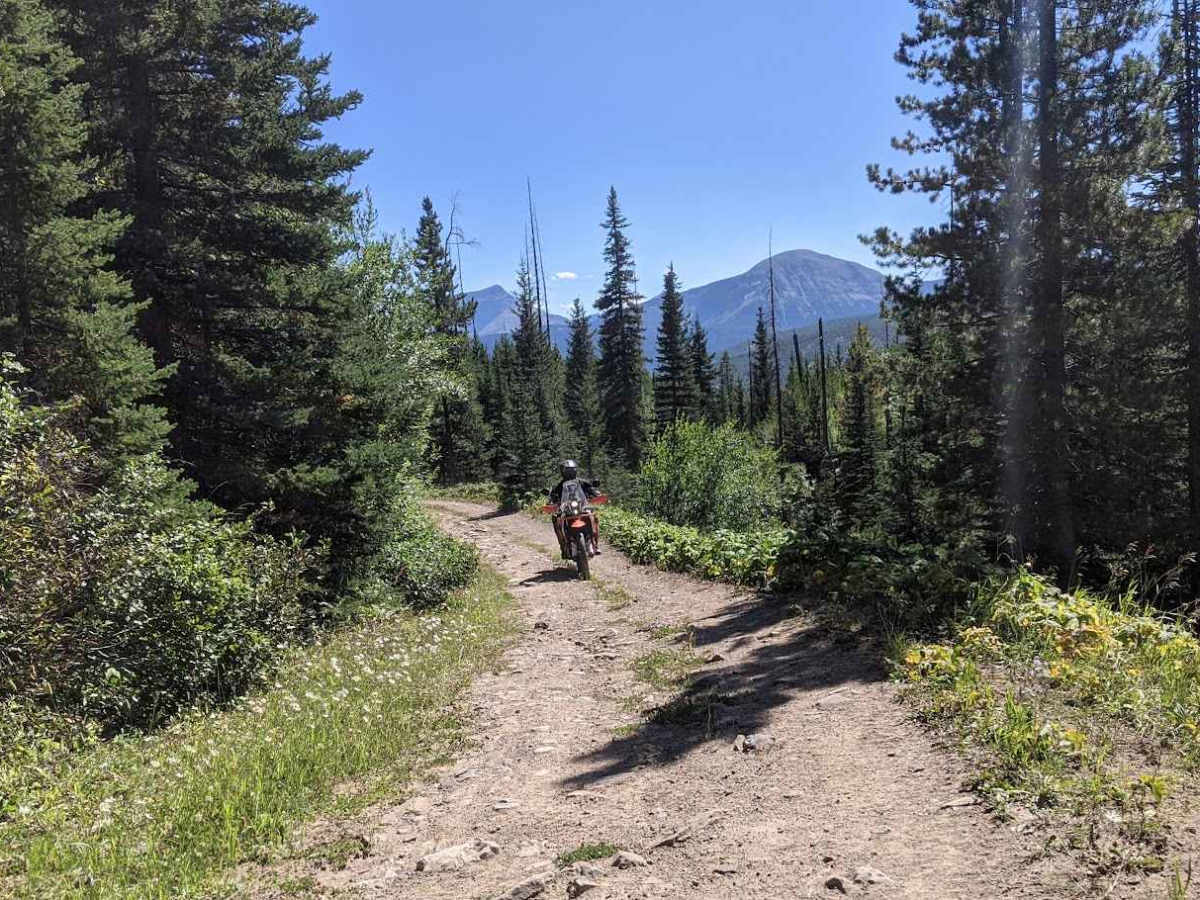 Goat Creek Loop  photo 3