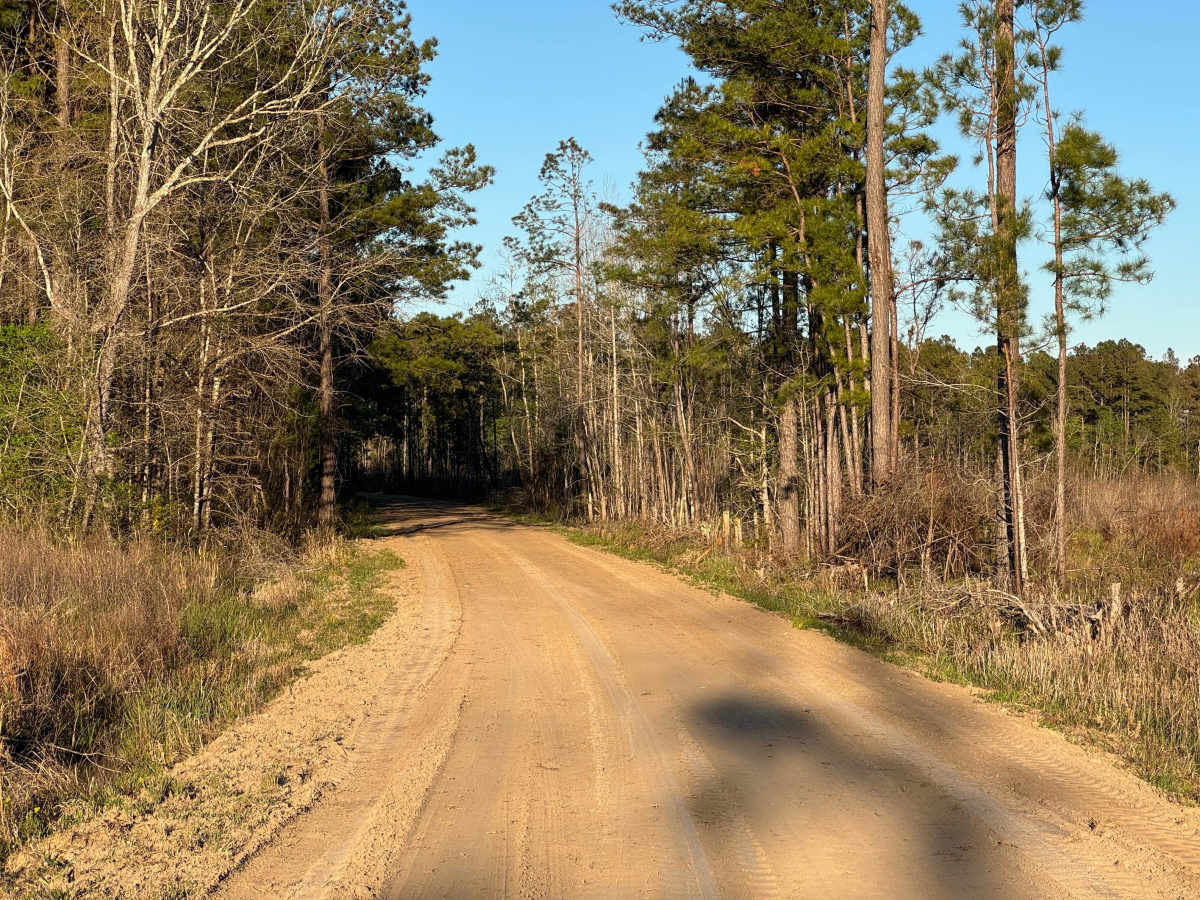 Sawgrass Road photo 5