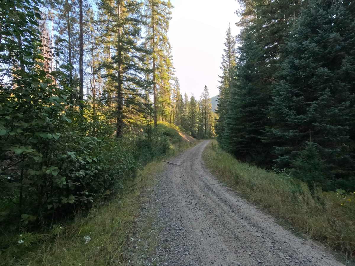 Klahowya Creek - FS 1075 photo 3