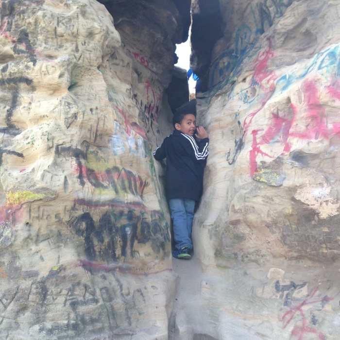 Near Table Rock Trail - Trail #15