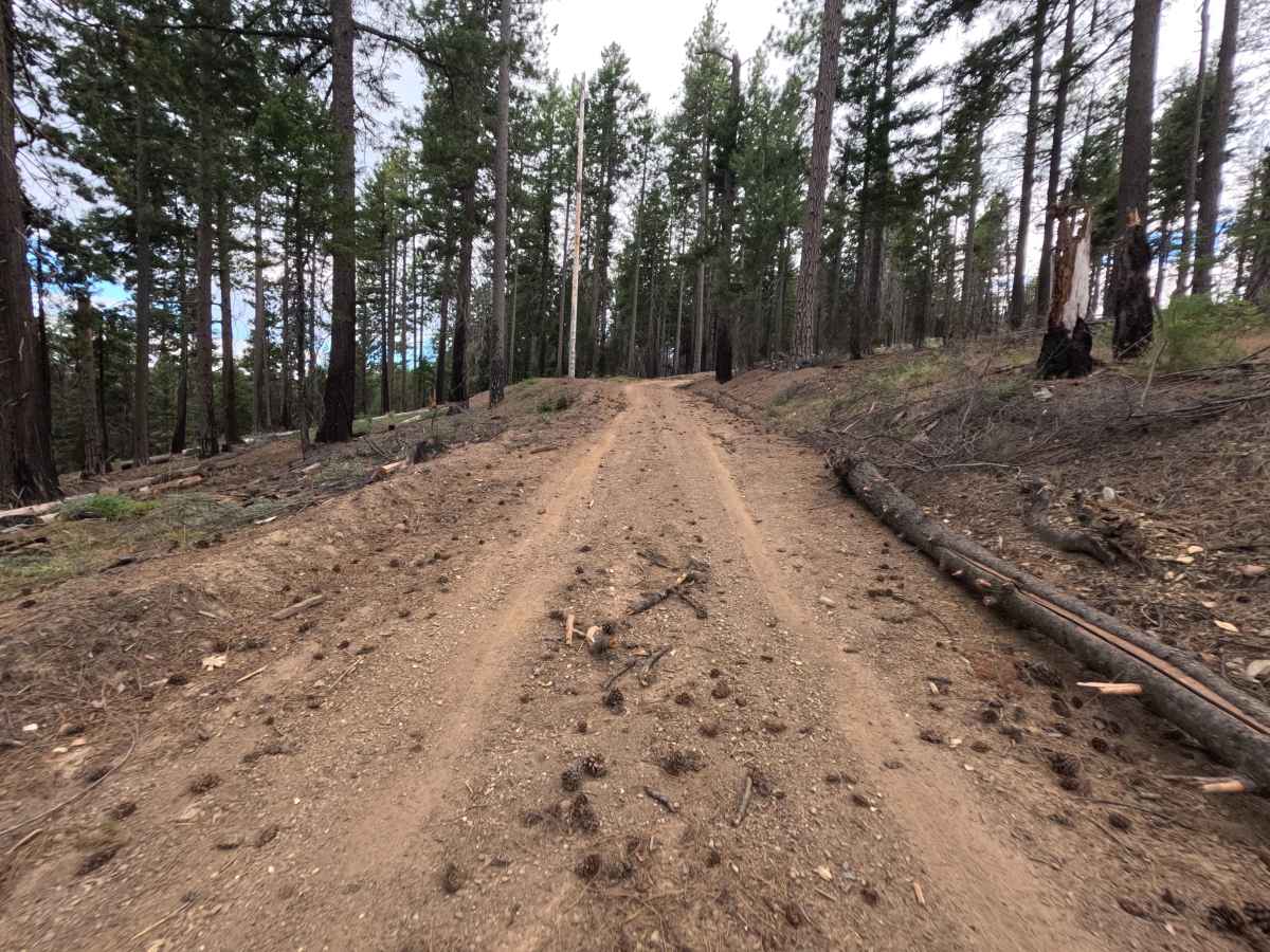 Kern Point - FS 20N55 trail photo