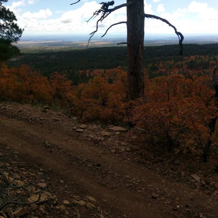 Near Wagonwheel Trail (168)