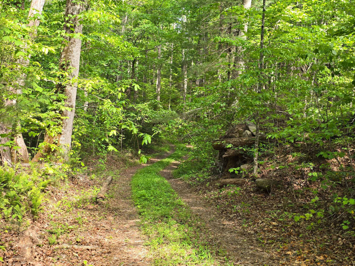 Doc Stiles Road photo 2