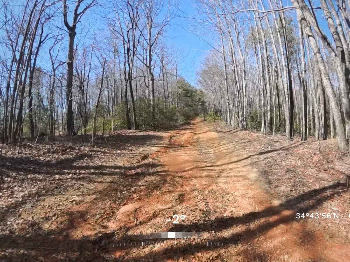 Flat Creek Road photo 4