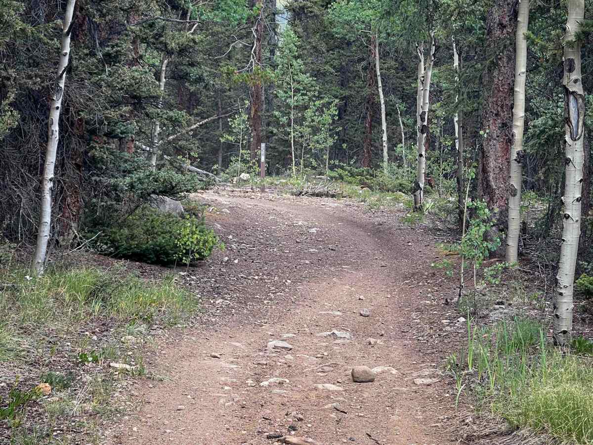 Almgren Trail #689 photo 3
