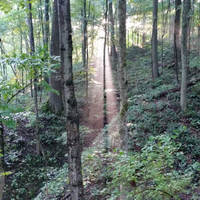 Near Loop Trail