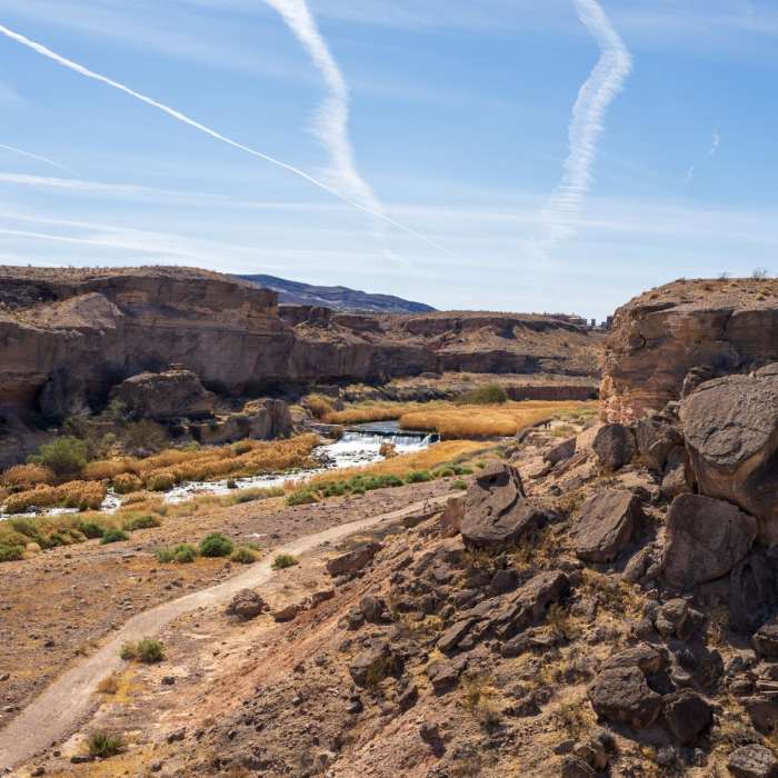 Near Las Vegas Wetlands