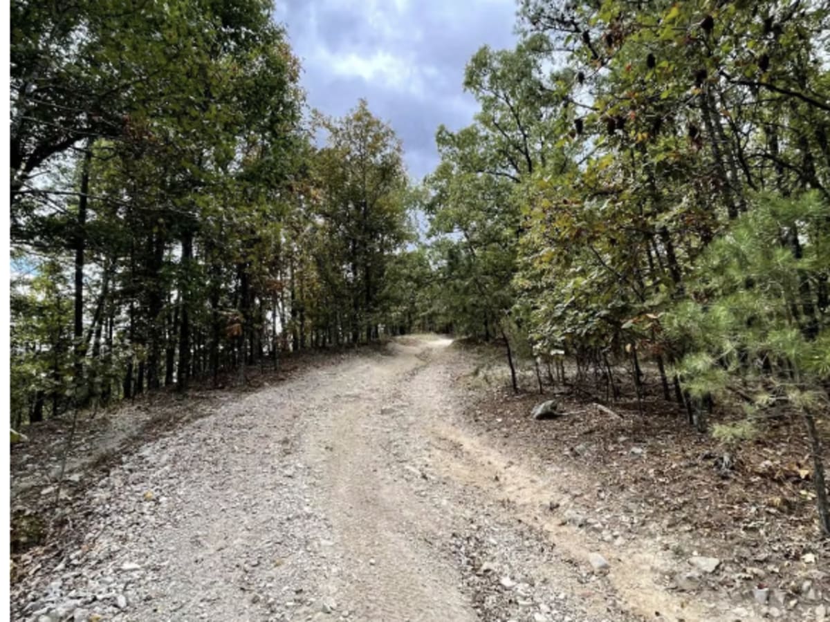 A24 Brandon's Run photo 6