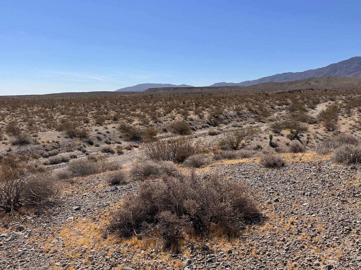 Widowmaker Gulch photo 3