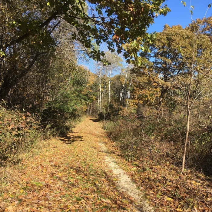 South Unit trail, late October. Near Effigy Mounds South Unit