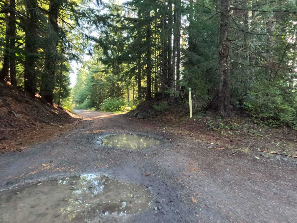 Smith Creek Trailhead - FS 8322 photo 6