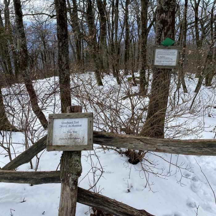 Near Graybeard Trail