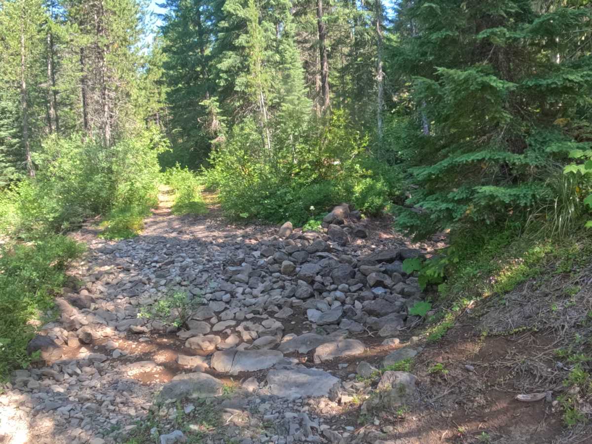 Presley Lake - FS 2257515 photo 5