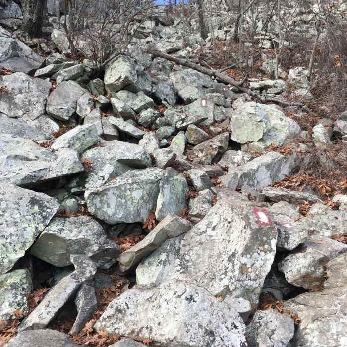 Near East Summit Trail