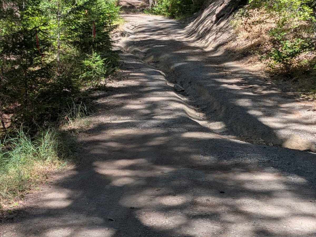 Hall City Creek Road - FS 29N07  photo 5