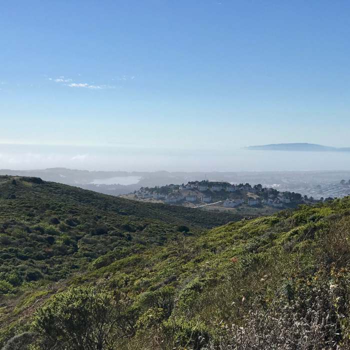 Near Summit Loop Trail