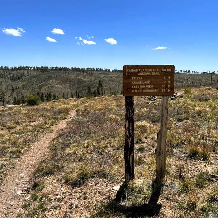 Near Arizona Trail Passage 41: Kaibab Plateau Central
