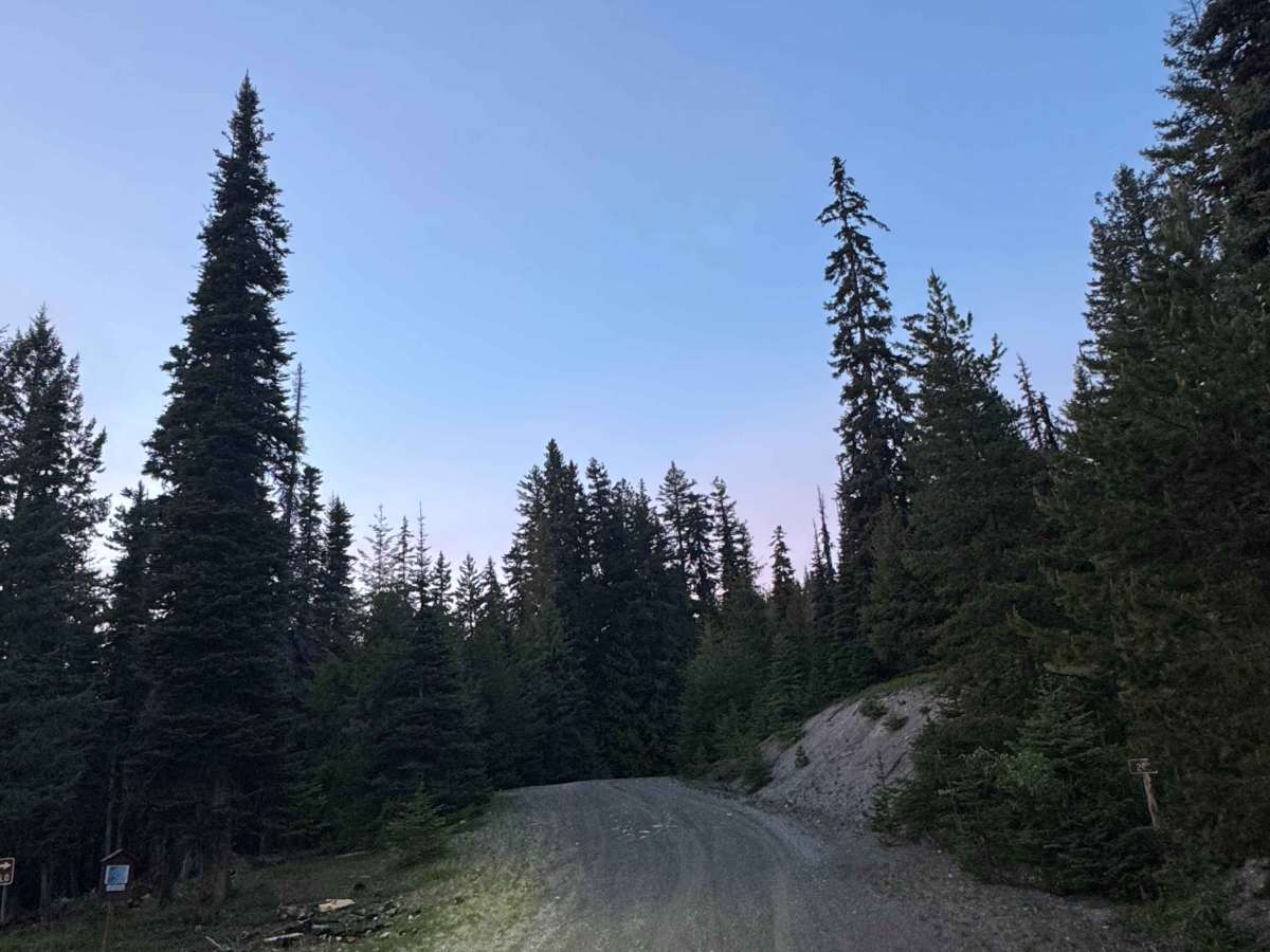 North Goat Peak - FS 5225-200 trail photo
