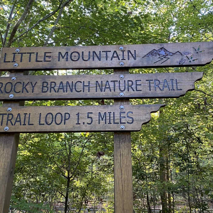 Near Rocky Branch Nature Trail