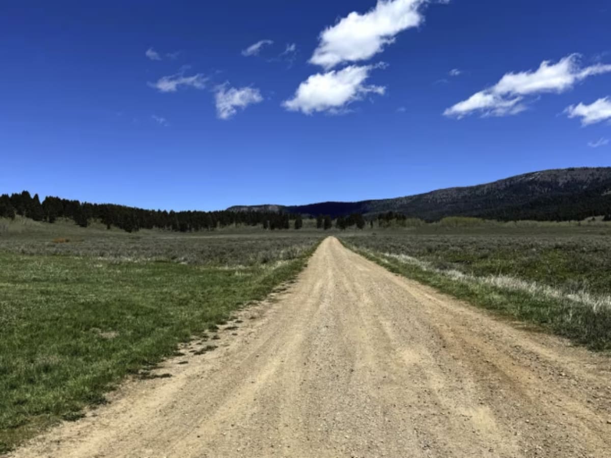 Pete Creek Road photo 4