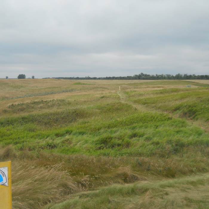 Near North Country Trail: Lonetree WMA Valley View Hike
