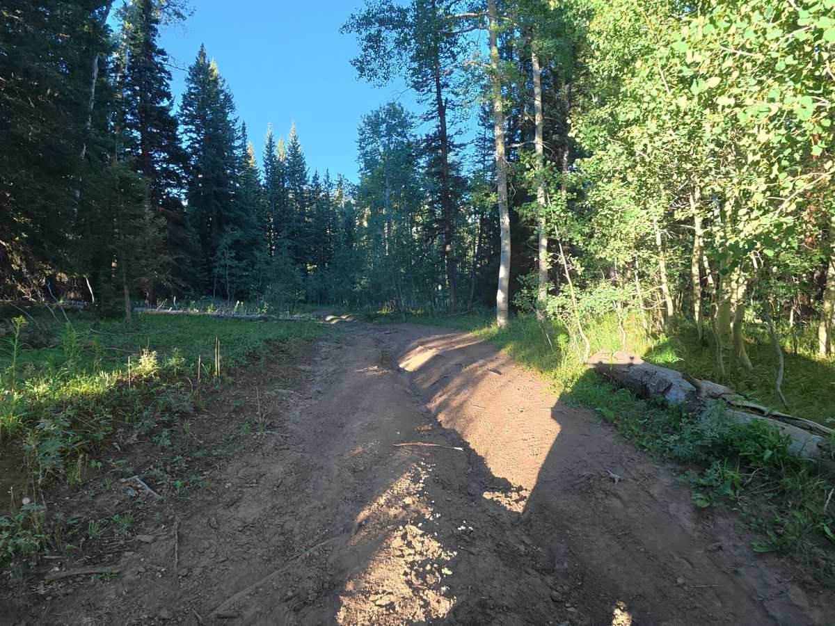 North Elk Cutoff Road - FS 248 photo 4