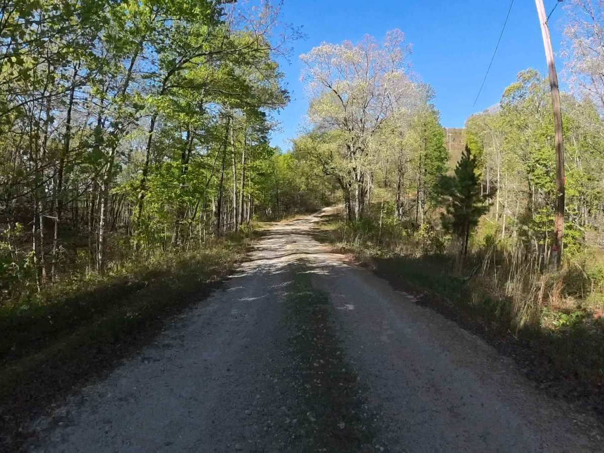 Forest Road 752 photo 3