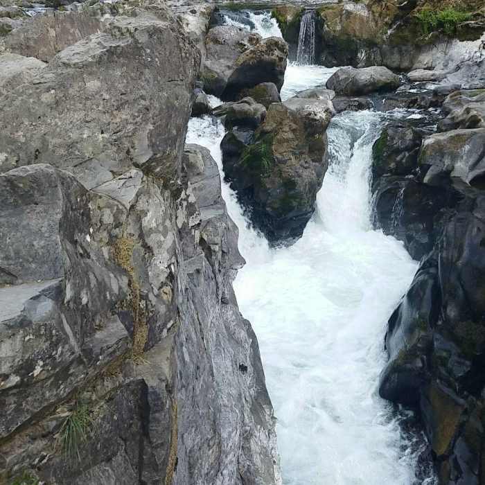 Near East Fork of the Lewis River Trail