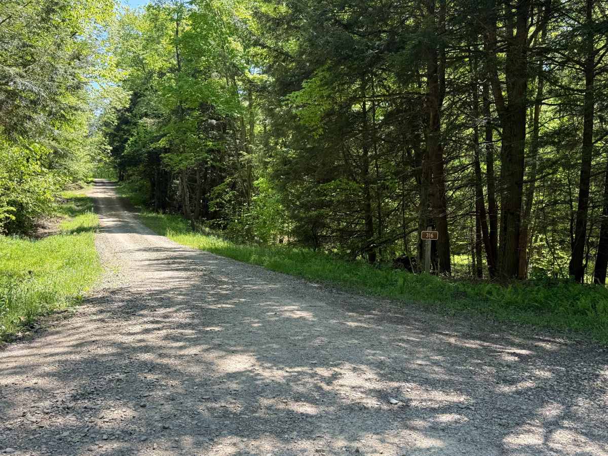 Townline Run - FS 316 trail photo