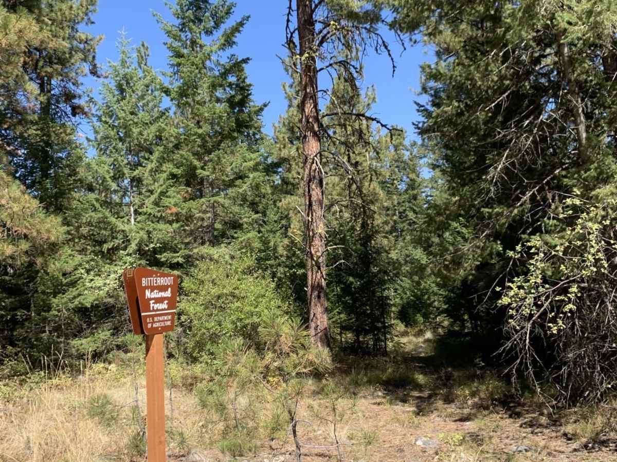 Mill Creek Trailhead photo 4