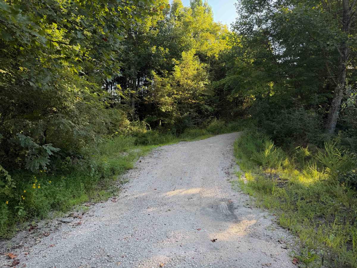 Hunter Access Pond Road  photo 3