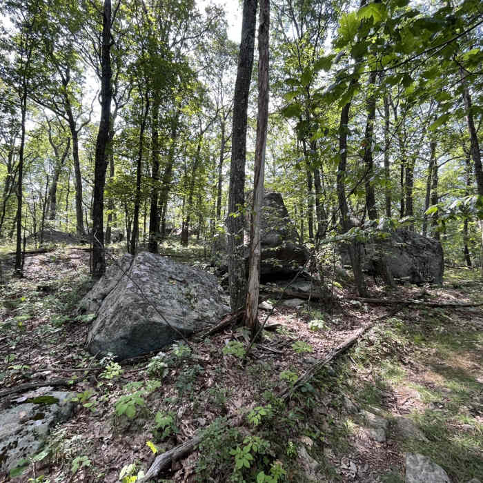 Near Waving Willie Loop Near Waving Willie Loop